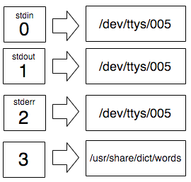 The list of file-descriptors from 0 to 3 on the left. Above 0, 1, and 2 we can see `stdin`, `stdout`, and stderr` and they point to the tty file. The file descriptor 3 points to /usr/share/dict/words