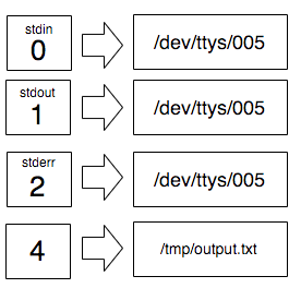 On the left the list of file descriptors from 0 to 2 and an extra 4. Above 0, 1, and 2 we can see `stdin`, `stdout`, and stderr` and they point to the tty file. The file descriptor 4 points to /tmp/output.txt